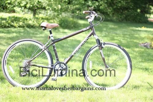 Schwinn Midmoor opinión y ficha técnica